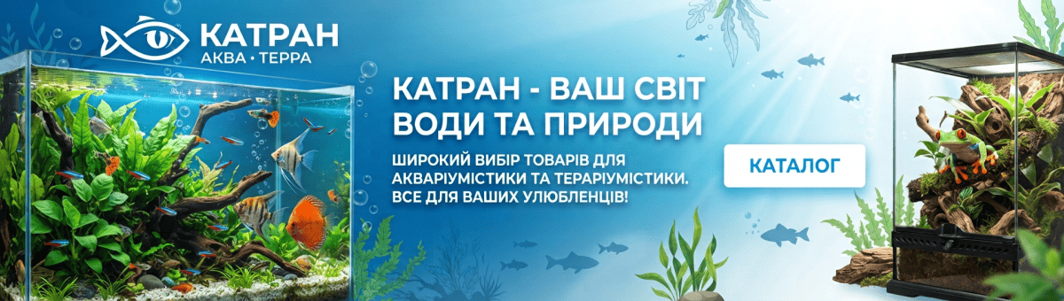 Акційні товари