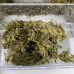 Сфагновий мох Repti-Zoo Sphagnum Moss 100 г (4,5 л) з Чилі для тераріумів і рослин