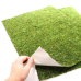 Фон з натурального моху Repti-Zoo Natural Moss Back & Bottom 50x25см 2 шт (NCM5025) для тераріуму