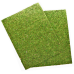 Фон з натурального моху Repti-Zoo Natural Moss Back & Bottom 50x25см 2 шт (NCM5025) для тераріуму