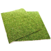 Фон з натурального моху Repti-Zoo Natural Moss Back & Bottom 50x25см 2 шт (NCM5025) для тераріуму