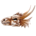 Декорація череп дракона Hobby Dragon Skull M 19,5×14,5×13,5 см для акваріума і тераріума (32075)