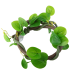 Штучна ліана Hobby Jungle Vine 1 100 см (37702) - гнучка декоративна рослина для тераріуму, акватераріуму та палюдаріуму