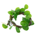 Штучна ліана Hobby Jungle Vine 1 100 см (37702) - гнучка декоративна рослина для тераріуму, акватераріуму та палюдаріуму