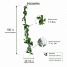 Штучна ліана Hobby Jungle Vine 2 100 см (37703) - гнучка декоративна рослина для тераріуму, акватераріуму та палюдаріуму