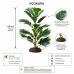 Штучна рослина Hobby Ficus Elastica 1 40 см (37705) для тераріуму, акватераріуму та палюдаріуму