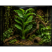 Штучна рослина Hobby Marantha Tree 55 см (37708) для тераріуму, акватераріуму та палюдаріуму