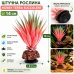 Штучна рослина Hobby Terra Succulent 1 14 см (37730) для тераріуму, акватераріуму та палюдаріуму
