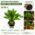 Штучна рослина Hobby Terra Succulent 2 10 см (37731) для тераріуму, акватераріуму та палюдаріуму