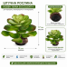 Штучна рослина Hobby Terra Succulent 4 17 см (37733) для тераріуму, акватераріуму та палюдаріуму