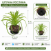 Штучна рослина Hobby Terra Succulent 5 8 см (37734) для тераріуму, акватераріуму та палюдаріуму
