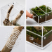 Тераріум акриловий Repti-Zoo Easy Clean Acrylic ACR46 10×10×20 см для комах, павуків
