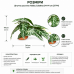 Штучна рослина Hobby Calathea 1 24×14 см (37714) для тераріуму, акватераріуму та палюдаріуму