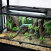 Світильник з лампою T5 Repti-Zoo Lighting Combo Smart KIT 10.0 UVB 24W 57.5 см (ZAT2824ST) для рептилій