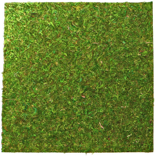 Фон з натурального моху Repti-Zoo Natural Moss Back & Bottom 20×20см 2 шт (NCM2020) для тераріуму