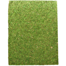 Фон з натурального моху Repti-Zoo Natural Moss Back & Bottom 20x30см 2 шт (NCM3020) для тераріуму