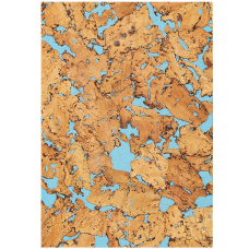 Фон з корка Repti-Zoo Cork Wood Background 20x30 см (NCB2030) для тераріуму