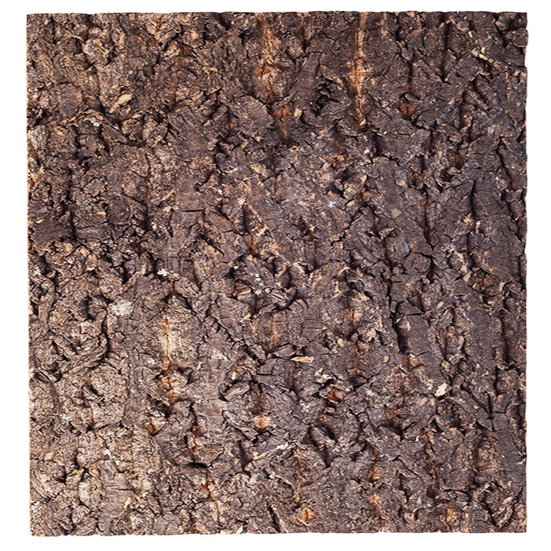 Фон з кори Repti-Zoo Big Tree Background 45x45 см (NCT03) для тераріуму
