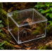 Тераріум з акрилу Repti-Zoo Mini ACR17 10,5×8,5×6,5 см для павуків, скорпіонів та комах