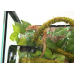 Ліана гнучка з натуральним мохом для тераріуму Repti-Zoo Artificial Moss Vine 2см x 2м (RV0220)