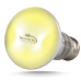 Лампа точкового нагріву Terrario Bogande Basking Sun Light 100w з UVA-променями для рептилій і тераріумів