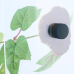 Штучна рослина Repti‑Zoo Magnetic Plant 63 см (TP084) – магнітний штучний плющ для тераріумів