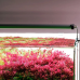 Світильник Chihiros B-Series B90 LED 90-110 см розумне RGB-освітлення для акваріума