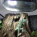 Лампа LED Repti-Zoo Desert and Tropical UVB 5.0 UVB 10.0 5W для тераріумів (LEDU04)