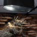Лампа LED Repti-Zoo Desert and Tropical UVB 5.0 UVB 10.0 5W для тераріумів (LEDU04)