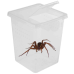 Тераріум, фаунаріум Terrario Insect Box High 9x9x11см